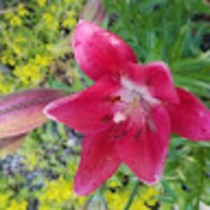 Meet your Posher, Jenni